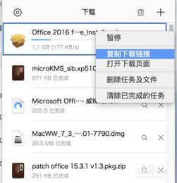 迅雷 mac,迅雷 for Mac：让下载变得更简单