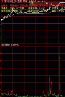 大智慧里面量比和真实量比区别