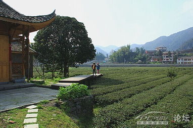 一块小小的水田(一块水田对不对)