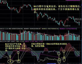 一样技术选出的股票为何有的涨的高