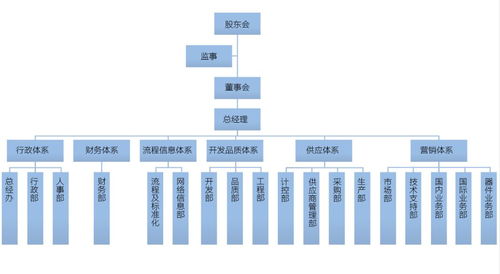 如何提高企业竞争力,科学的组织架构是第一王牌