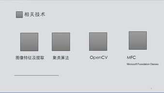 opencv毕业论文