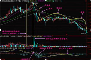 10万块在20元时全仓买的股票,跌百分之80,后来又涨了百分之200,现