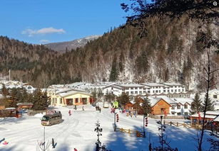 今年雪乡没有雪 雪乡村名急的团团转 是报应 