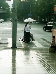 雷电携雨昨袭济南 不到2小时 轰轰 了367次