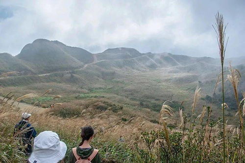 元旦1月2号 穿越广东小武功 大南山,邂逅醉美高山草甸,最美的风景在路上