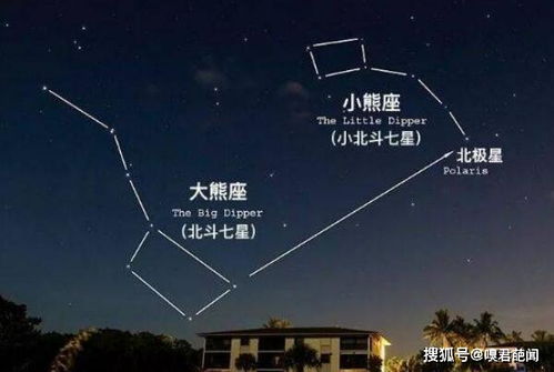 维特鲁威人三大秘密,天文 星座 人体 一张人体图震惊世界