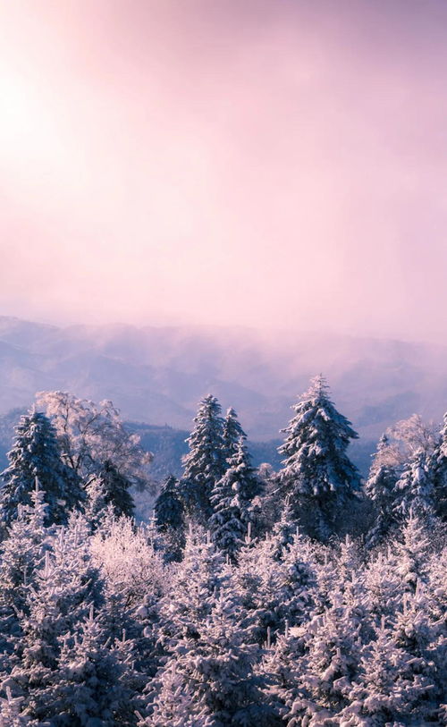 11月,往北看雪,往南赏秋 西江 