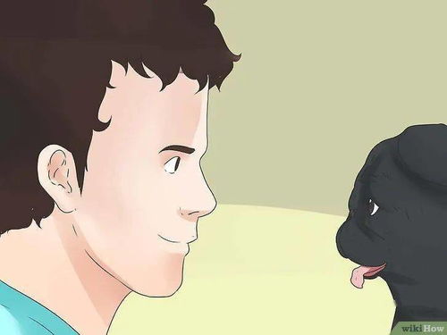 狗言狗语 如何和狗狗交流