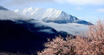 林芝旅游图片,林芝自助游图片,林芝旅游景点照片 马蜂窝图库 马蜂窝 