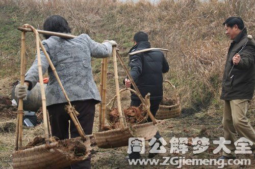 梦见挑土是什么意思 梦到挑土好不好 大鱼解梦网 