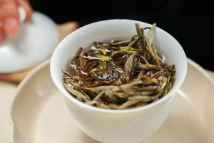 福鼎老白茶为什么需要煮着喝,福鼎白茶里白牡丹茶适合煮着喝吗？