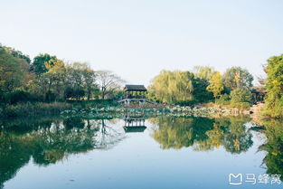 湿地旅游和湿地的区别(湿地与滩涂有何区别)