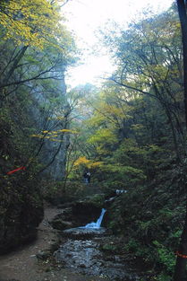 一条金鸡河蓝天红叶,一条滴翠河云雾阴天