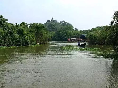 下渚湖国家湿地公园停车收费吗(德清市免费停车场)