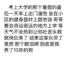 有没有一瞬间认为你们家宠物成精了