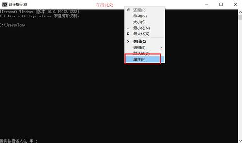  欧陆4控制台代码怎么输入, 什么是欧陆风云4控制台代码？ 天富注册