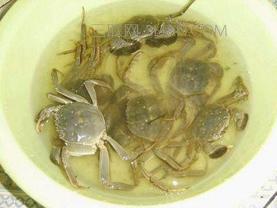 螃蟹怎么洗 7个洗螃蟹又快又干净的方法 