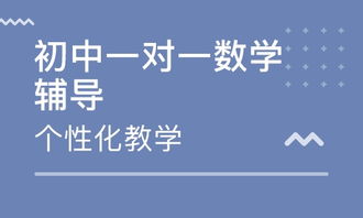 河南十大诈骗教育机构？天津初中培训机构排名前十