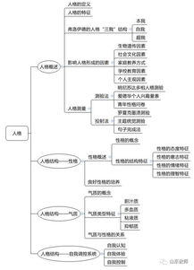 教师的知识结构包括