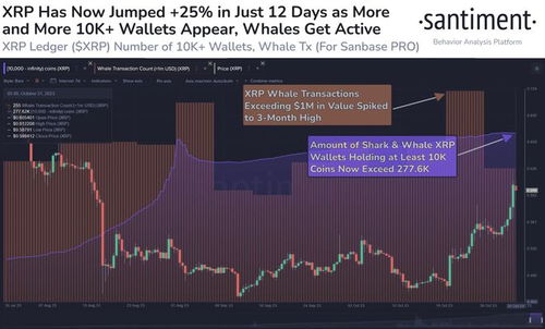  xrp币刚上市多少钱一个啊,目前一个瑞波币值多少人民币 区块链