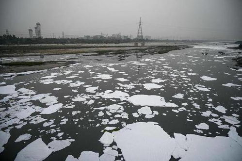 印度被污染河流漂浮白色泡沫 渔民划船似在 云海翱翔