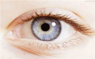 色盲的三种常见临床表现
