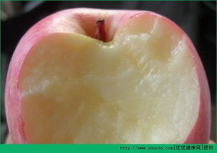 苹果不能和什么一起吃 和苹果相克的食物有哪些