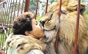 狮子狂吻女老师 