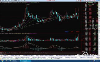 大通炒股软件怎样调折线？