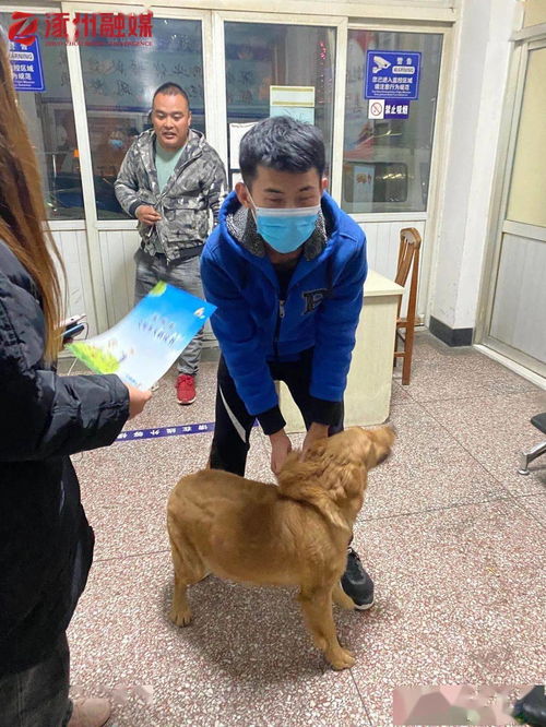 涿州全市范围内开展养犬管理集中整治专项行动