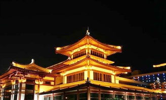 上海不夜城旅行社,探索上海夜生活，选择上海不夜城旅行社