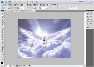 adobephotoshopcs4绿色版