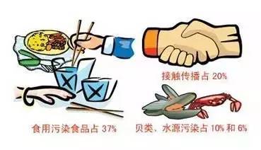 诺如病毒来袭,我们怎么办 