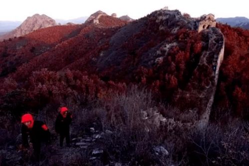 都说地质界太难混了,看完这个我信了