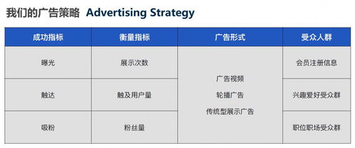 打新查重服务：专业、高效、全面的查重解决方案