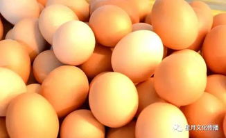 鸡蛋买回来别直接放冰箱 用这个小方法 延长鸡蛋保鲜时间