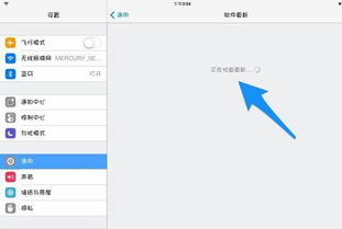 iPad系统无法更新,怎么办 求解啊 