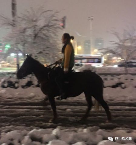 合肥一男子雪中骑马上路招网友 羡慕嫉妒 