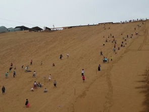 沙坡头 景区大门票 成人票中卫沙坡头旅游区在中卫,有国家首批五A景区沙坡 驴妈妈点评 