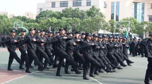 上海海关学院就业前景怎么样,大多是什么方向,进海关好进吗 