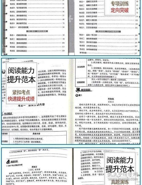 初中生阅读能力提升范本中考语文阅读理解专项训练答题技巧书籍