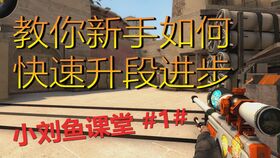 csgo新手入门菜鸟必学(csgo新手入门教学)