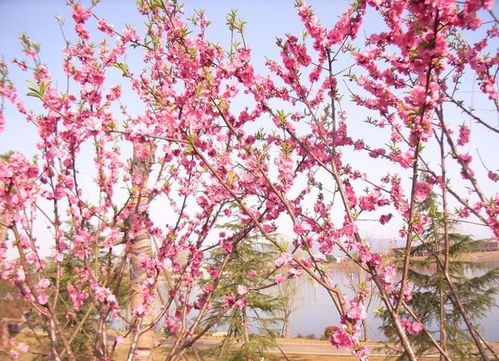 5月,霉运散去,好运来袭的4星座,财星吉星齐聚,众福临门