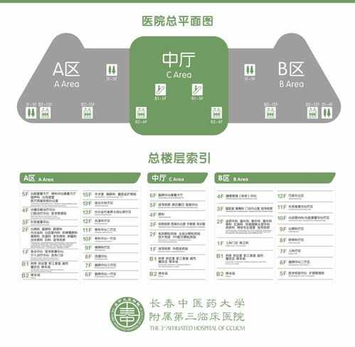 净月区最大三级公立综合医院 长春中医药大学附属第三临床医院明日全面开诊