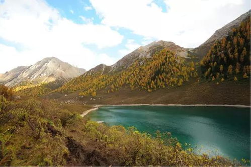 四川旅游攻略一次穿越千年的奇妙之旅，让您感受无尽的风情与魅力！