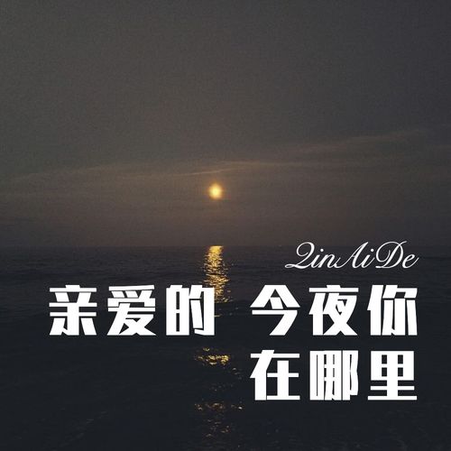  我是今晚的dj歌词是什么歌,歌曲的背景。 百科