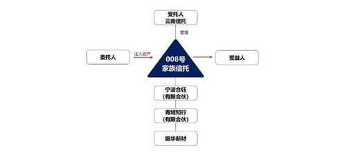 家族信托 国内家族信托间接持股,获科创板IPO成功过会