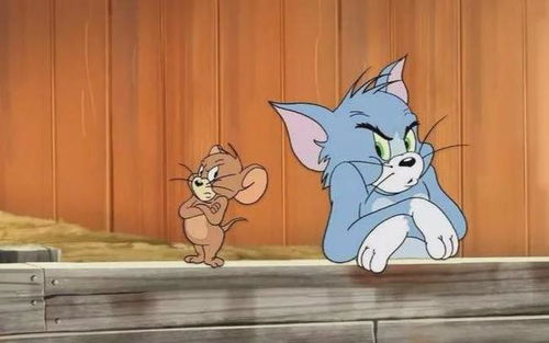 这些与猫有关的经典动画片,哪一部是你童年时的回忆