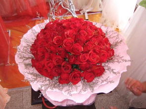 玫瑰花不同颜色的寓意 1到99朵玫瑰的含义